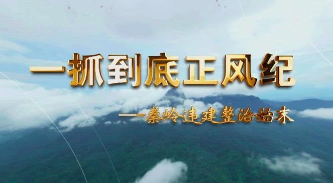秦岭别墅违法乱纪事件