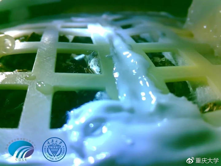 人类首次月面生物实验