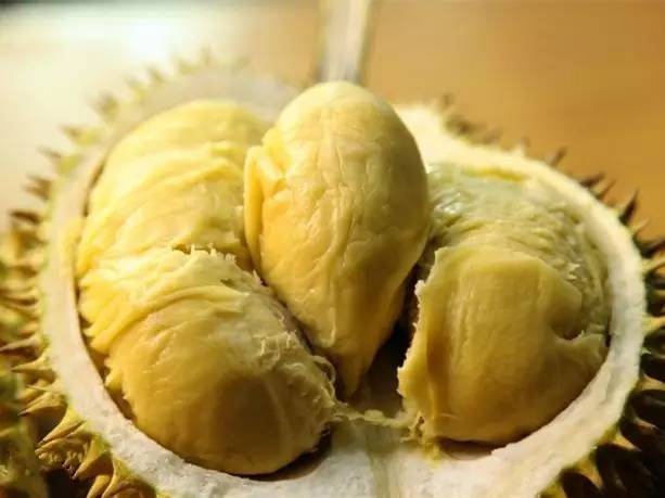 马来西亚留学网
